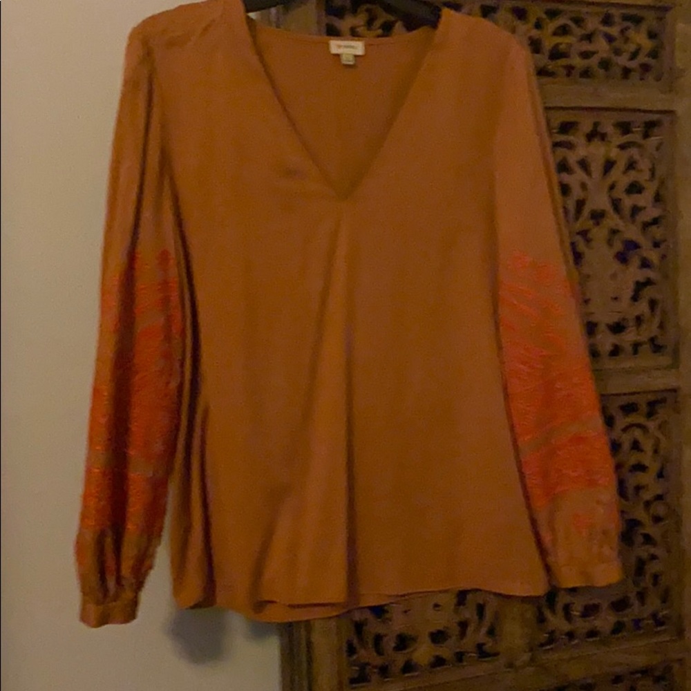 Beautiful silk Embroidered blouse